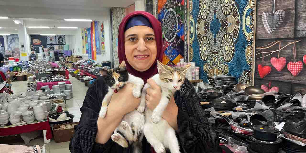 Eskişehir'de sokak hayvanlarının umudu oldu