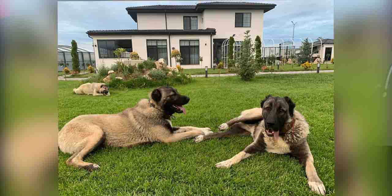 Eskişehir’de eşi benzeri yok!