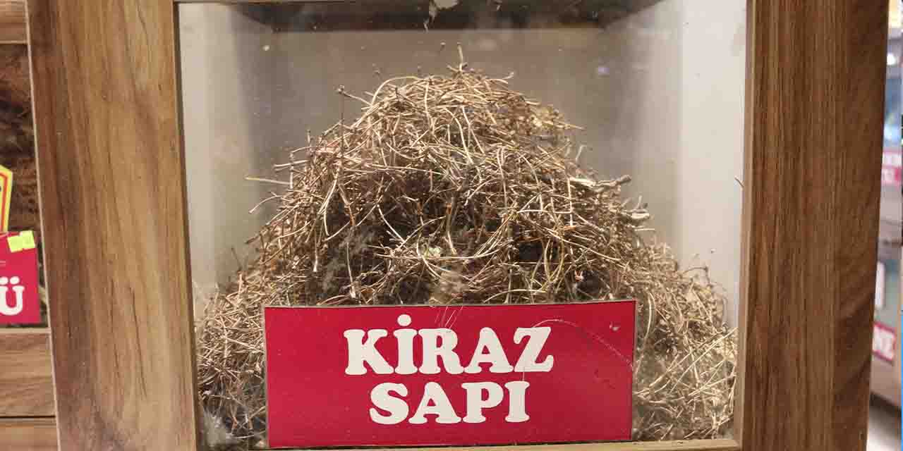Kiraz sapının faydasını duyanlar şaşkına dönüyor