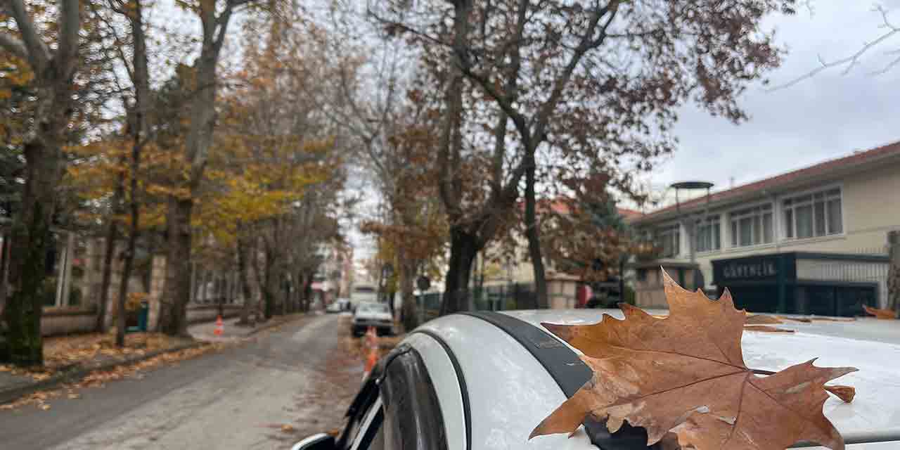 Eskişehir'in sonbahar manzarası görenleri büyüledi