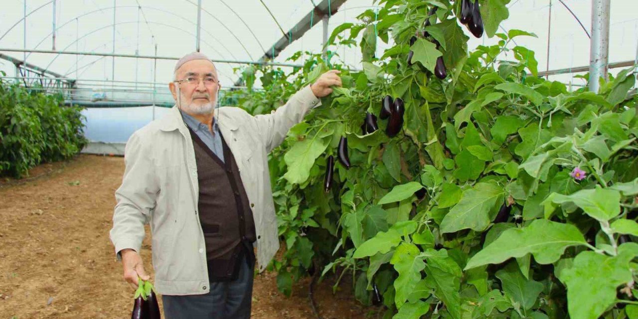 Yazın beklettiği sebzeyi kışın 3 katına satıyor