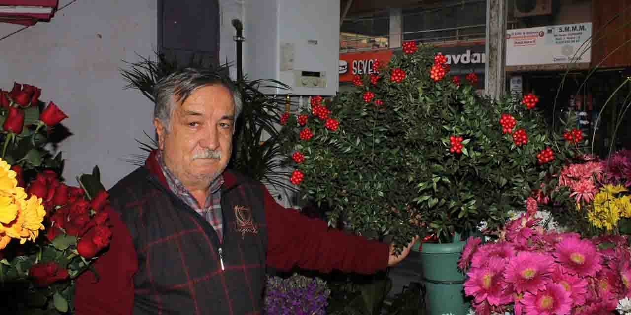 Kokina çiçeği bu yıl herkesin dilinde