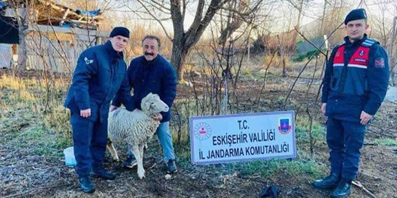 Koyun hırsızları Ankara'da yakalandı