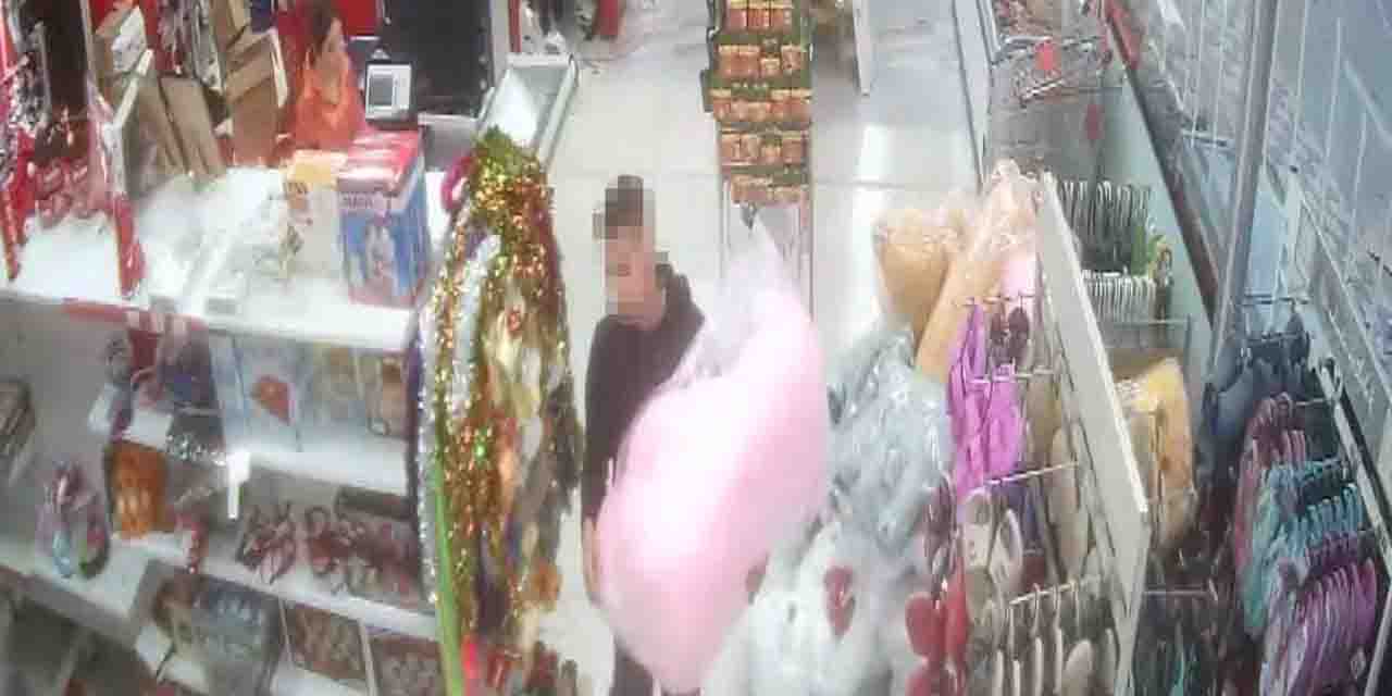 Oyuncak ayı hırsızı kameralara takıldı