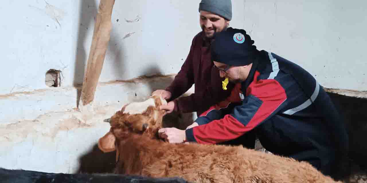Eskişehir'de hayvan yetiştiriciliğine önemli destek