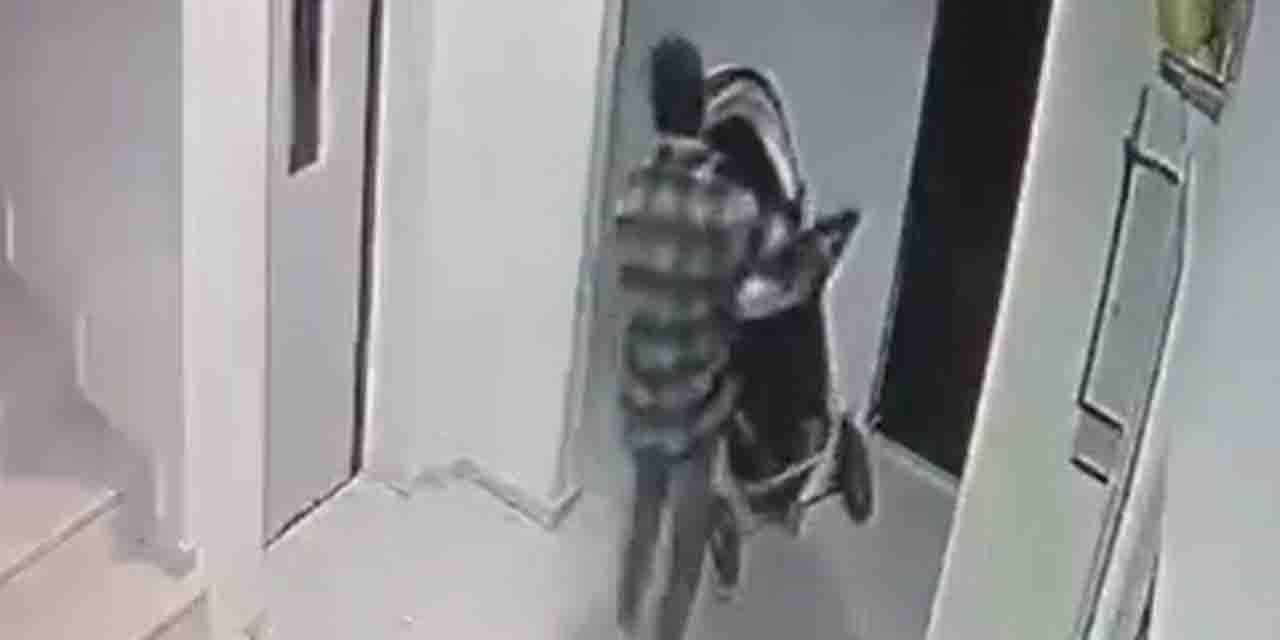 Eskişehir'de bebek arabası hırsızı kameralarda