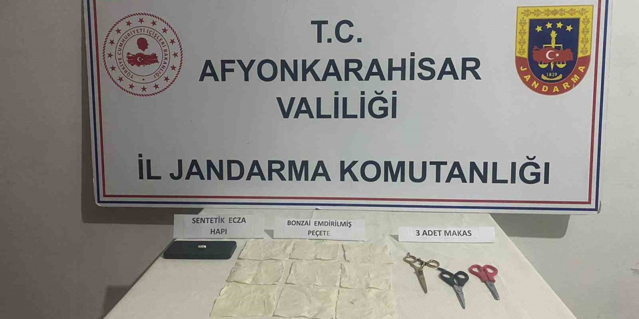 Peçeteye emdirilmiş bonzai şok etti