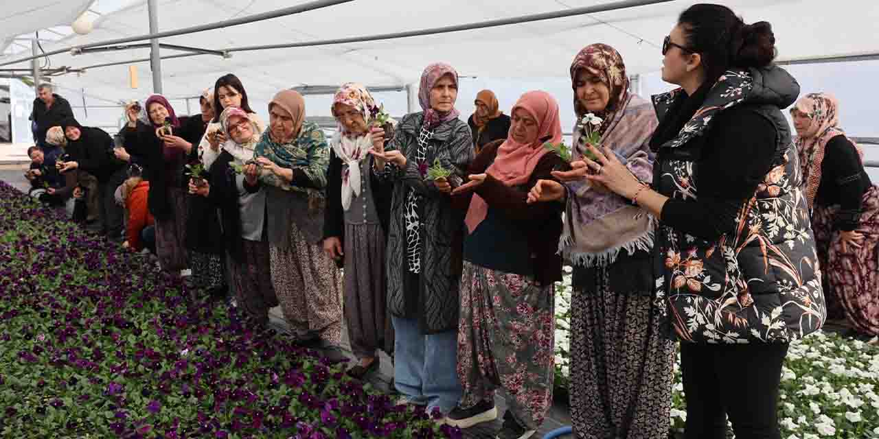 Eskişehir'de kadın çiftçilere “Süs Bitkisi Yetiştirme Eğitimi”