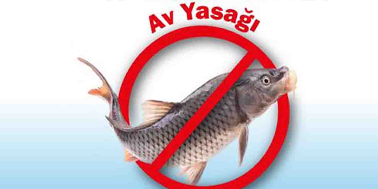 Eskişehir iç sularında avlanma yasağı başlıyor!