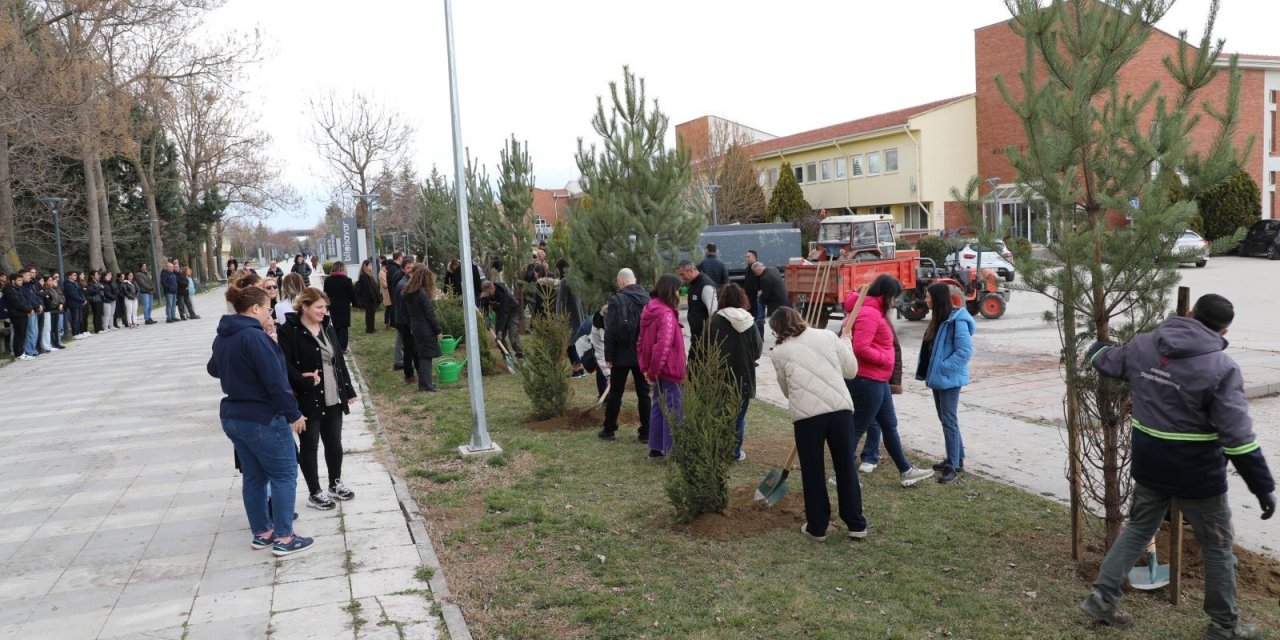 Hayatını kaybeden öğretim üyesi için ESTÜ'de ağaç dikimi