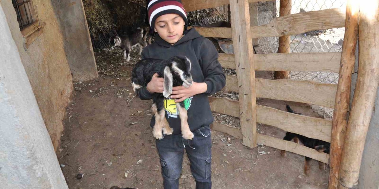 Köyünde başka çocuk olmayınca oğlak ile arkadaş oldu