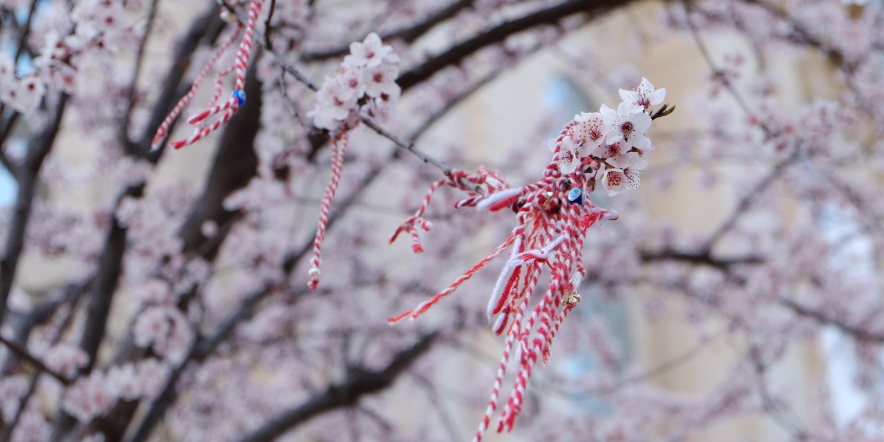 Marteniçkalar ağaçlara asılmaya başlandı