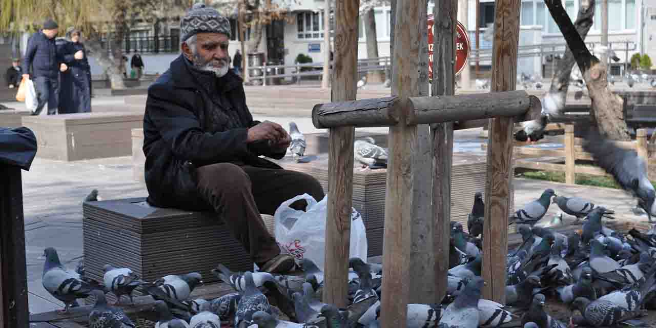 Eskişehir'in kuşları bu vatandaşın yolunu gözlüyor