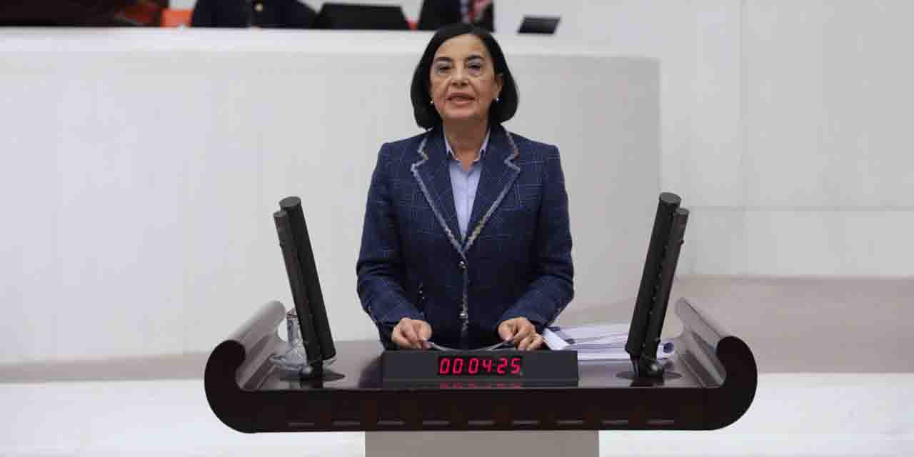 CHP'li Süllü: Bakanlar partinin değil devletin bakanı olmalı