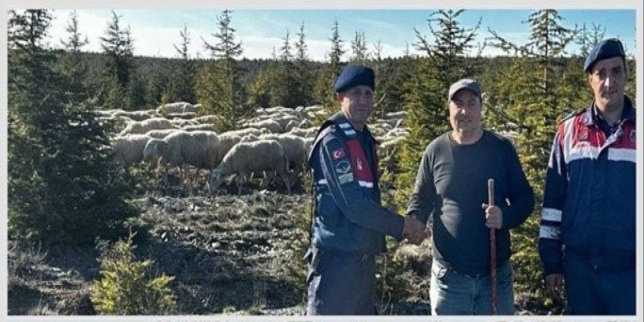 Eskişehir'de çiftçinin kaybolan koyun sürüsü bulundu