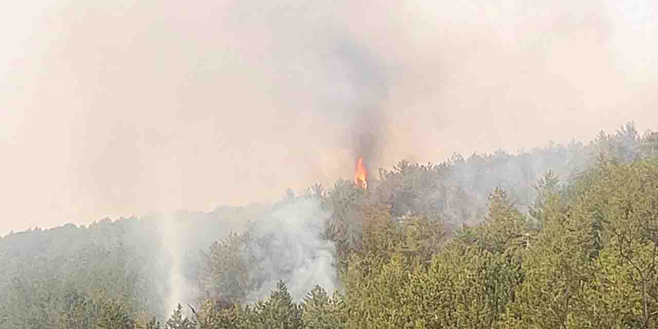 Eskişehir'de korkutan orman yangını!
