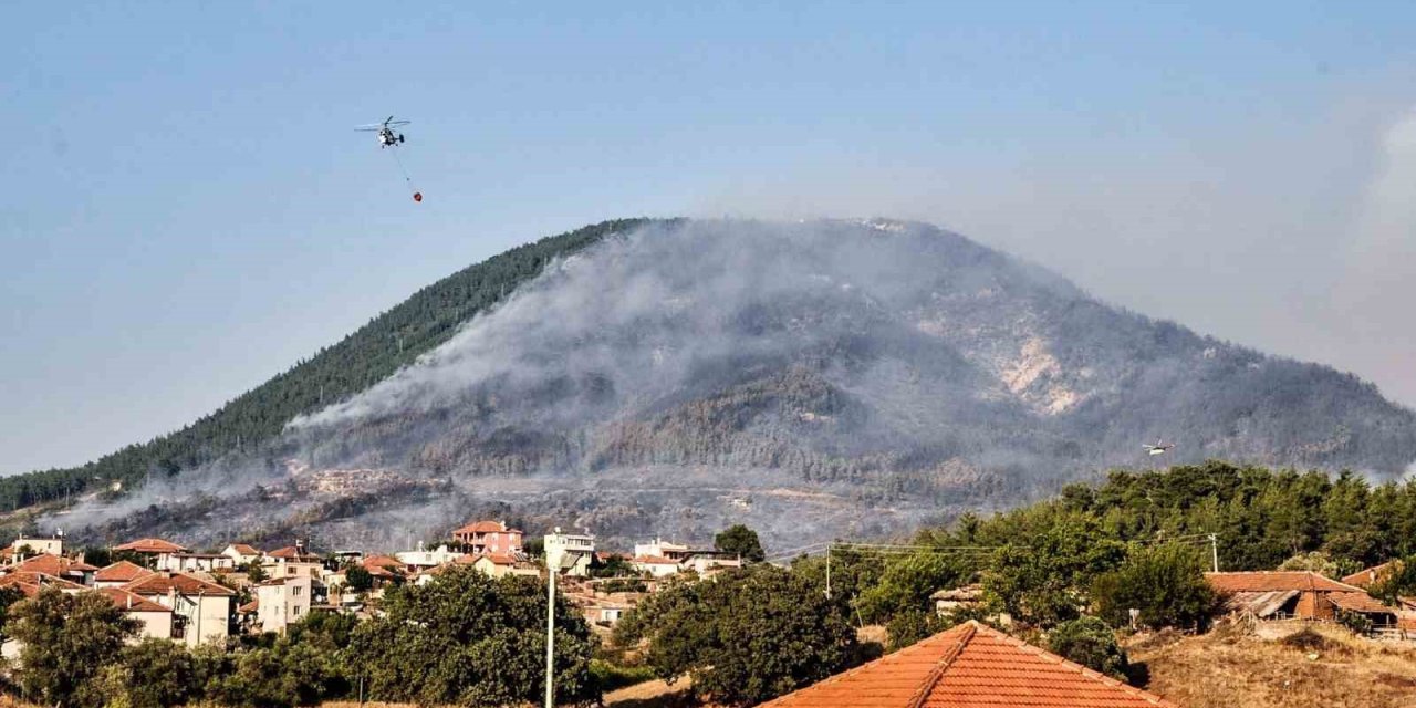 Yangında kül olan ormanın yeniden canlanması 30 yıl sürecek
