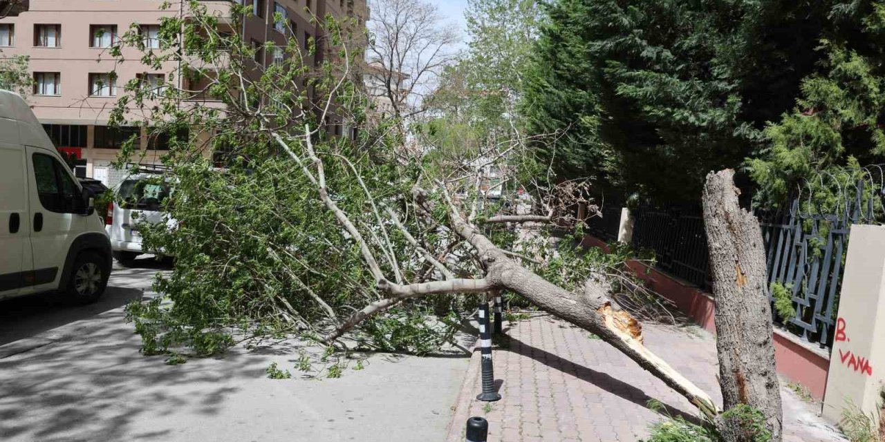 Konya’da çıkan fırtına ağaçları yerle bir etti