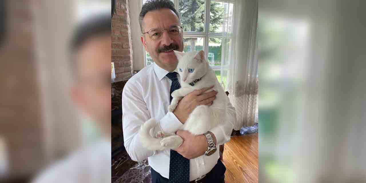 Vali Aksoy kedisiyle veteriner hekimlerin gününü kutladı