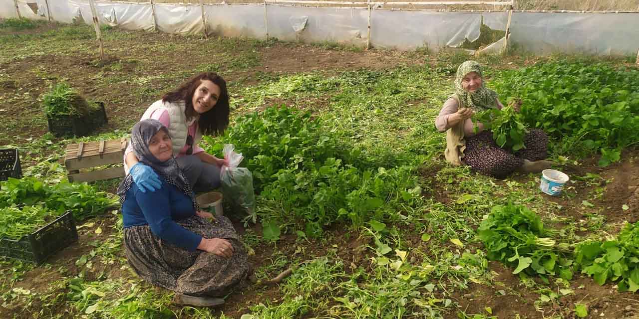Eskişehir'de sağlıklı gıda için çalışmalar sürüyor