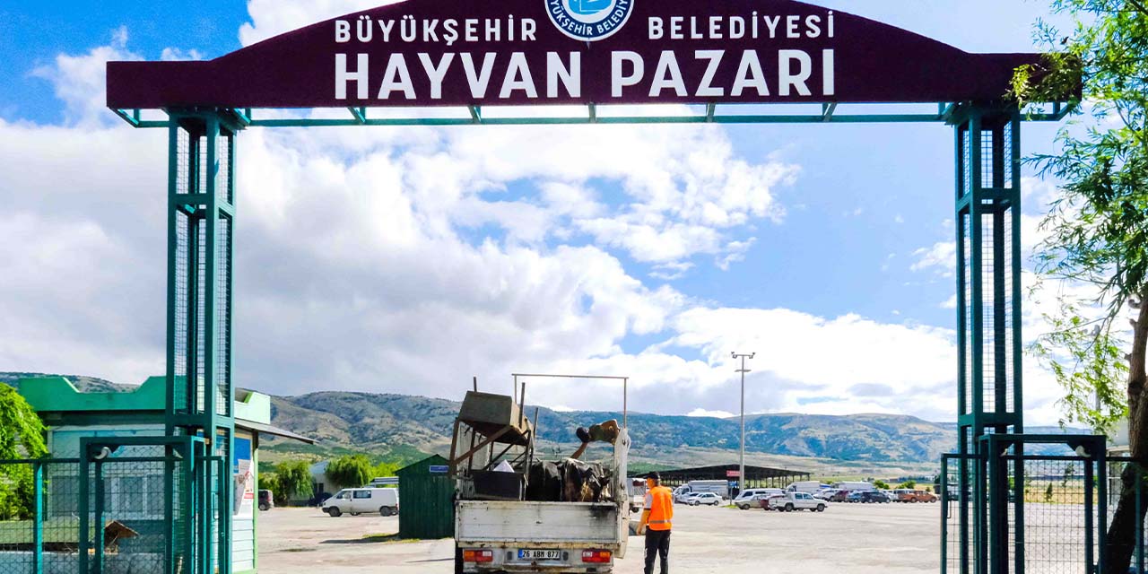 Eskişehir Büyükşehir kurbanlık satış başvuruları başlıyor!
