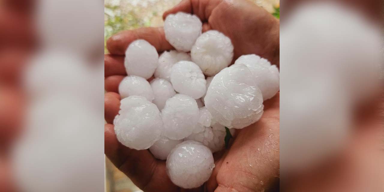 Eskişehir'de dolu yağışı ekili ürünlere zarar verdi