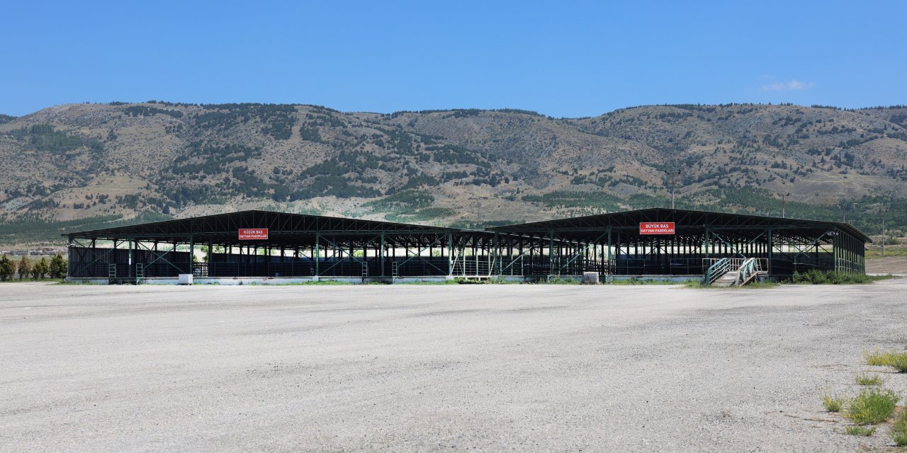 Büyükşehir'in Hayvan Pazarı yetersiz mi?