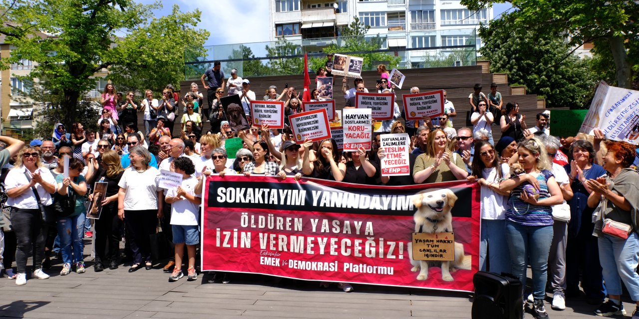 Tepkiler Eskişehir'den: Sokak hayvanları katledilerek sorun çözülmez