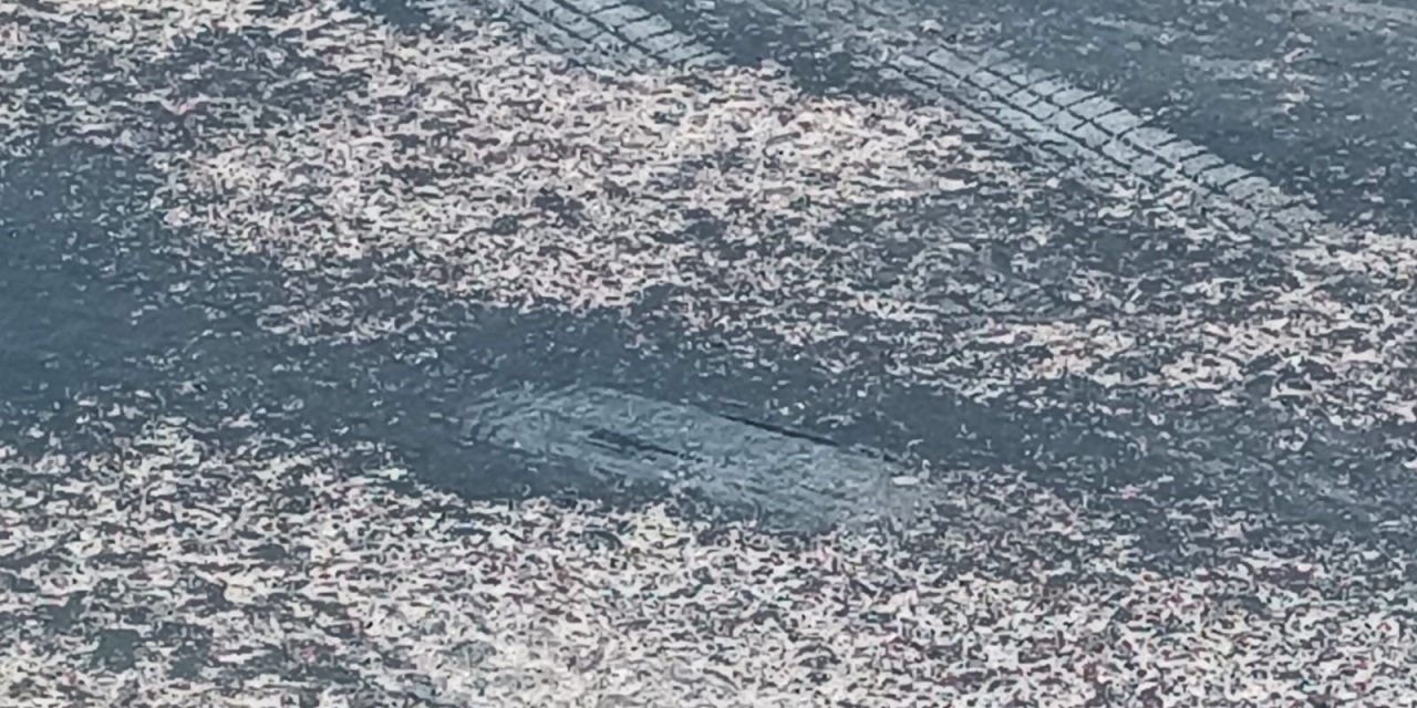 Afyon'da aşırı sıcak asfaltı eritti...