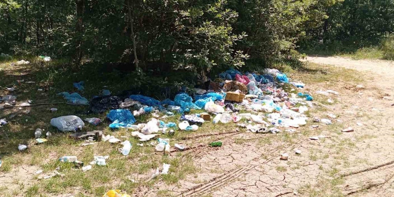 Bursalı doğaseverler 5 Haziran Dünya Çevre Günü kapsamında çöp topladı
