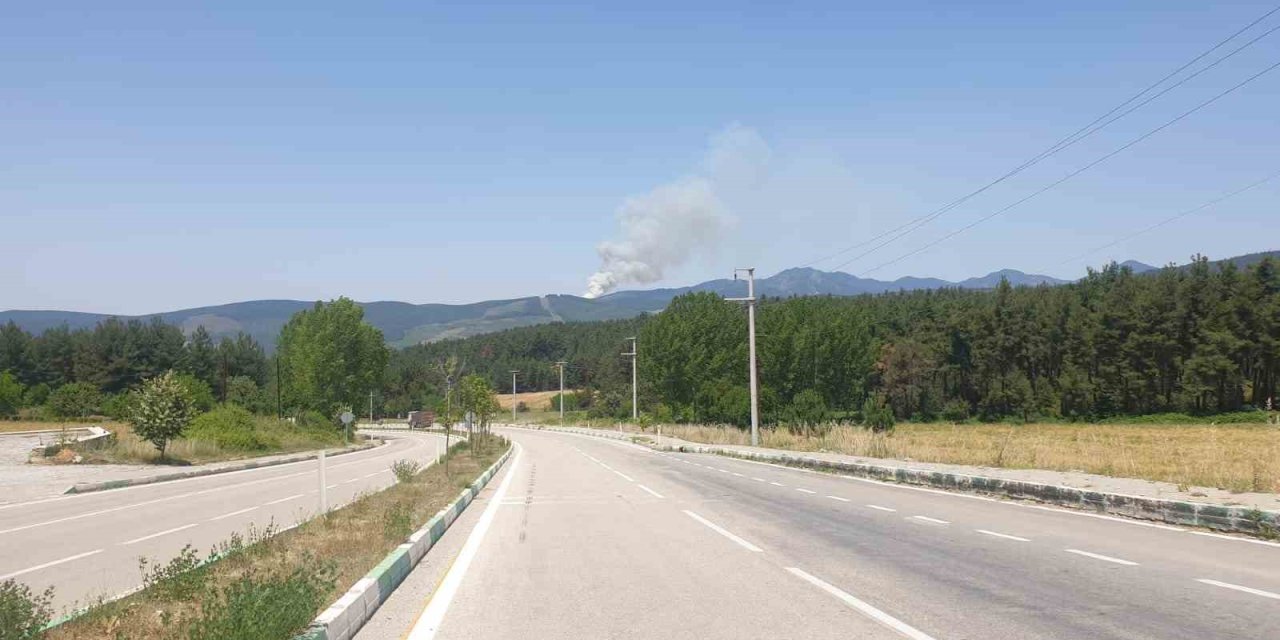Bursa’da orman yangını...Uçaklar ve helikopterler sevk edildi