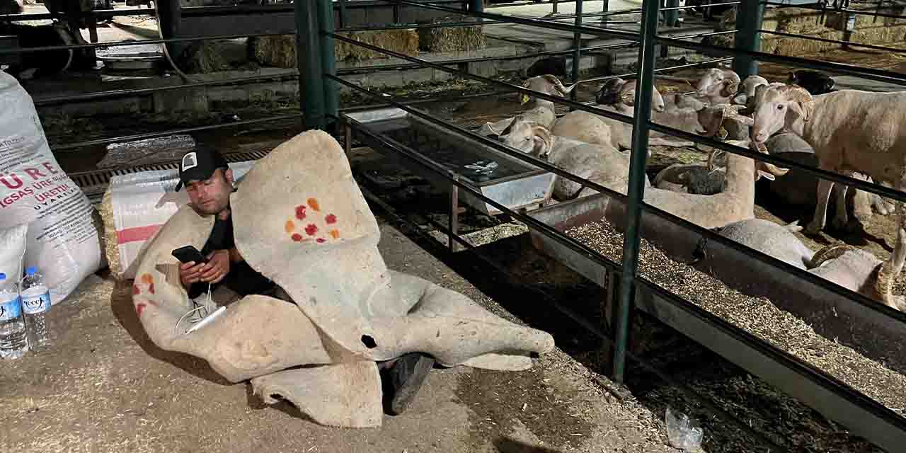 Üreticiler Eskişehir'deki hayvan pazarından şikayetçi