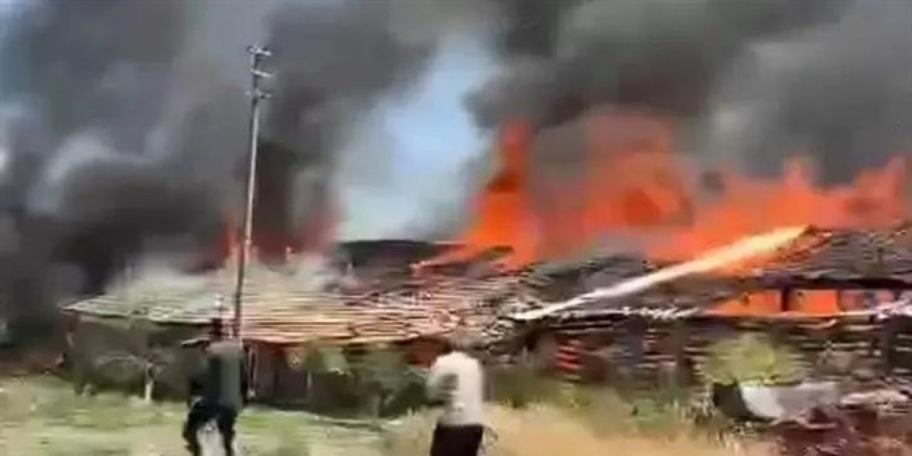 Başkentte bir ahırda çıkan yangında 12 hayvan telef oldu