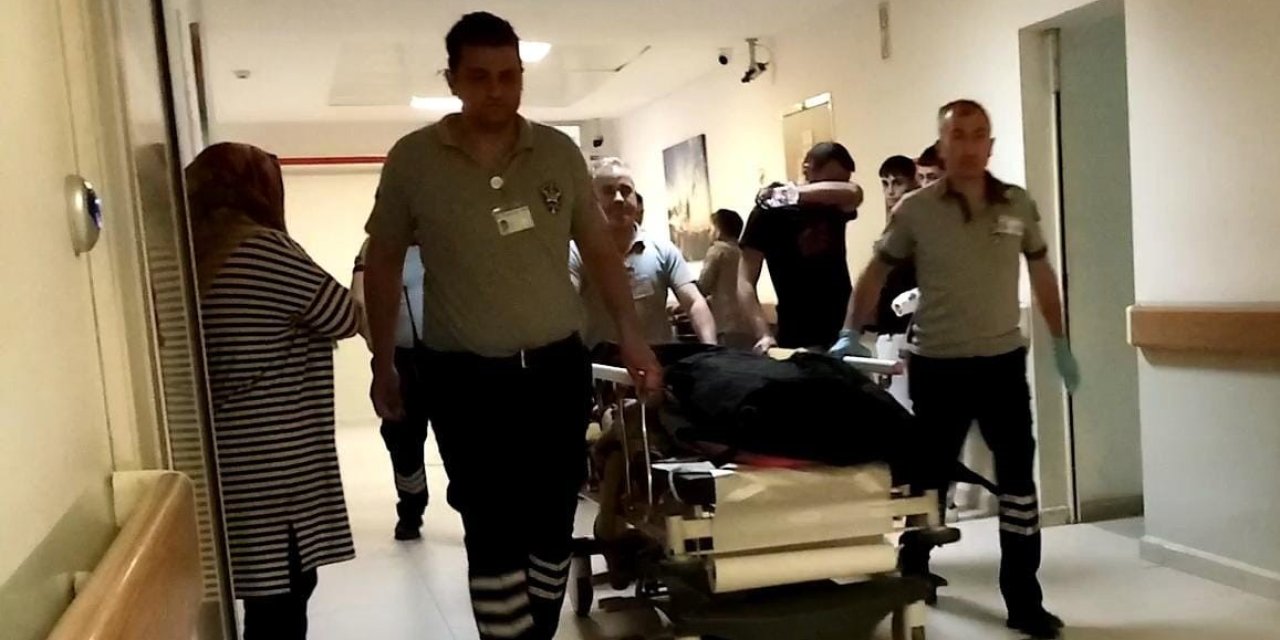 Ağaçtan düşen adam tüm müdahalelere rağmen kurtarılamadı