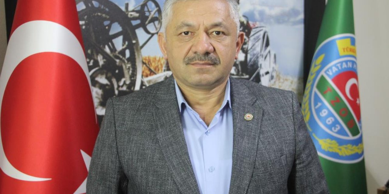 Fındıkta külleme tehlikesi