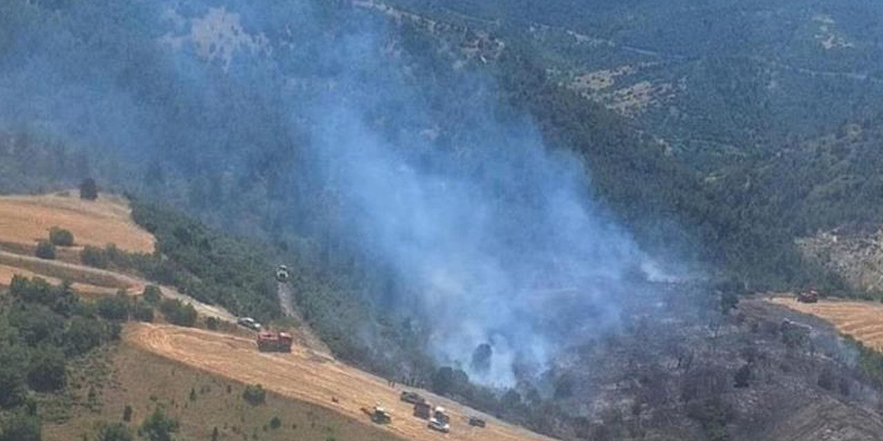 Bilecik'te çıkan orman yangını korkuttu