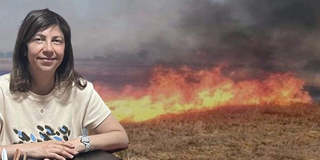 "Anız yakma uygulamasından vazgeçilmeli!"