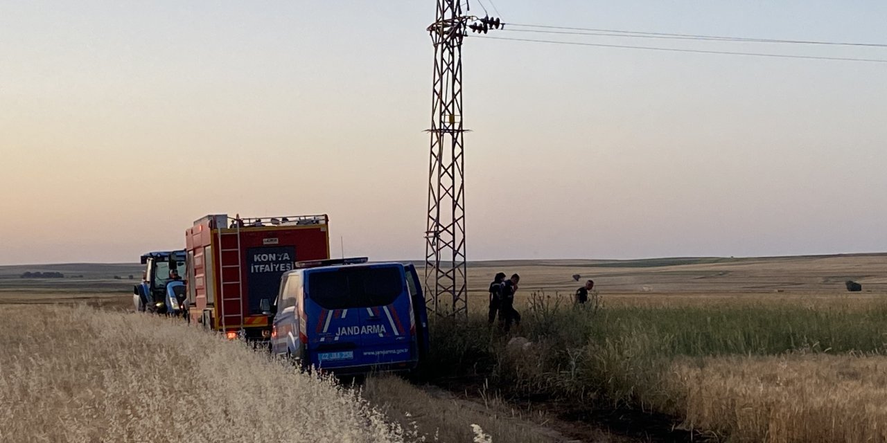 Elektrik akımına kapılan kuşlar yangın çıkarttı