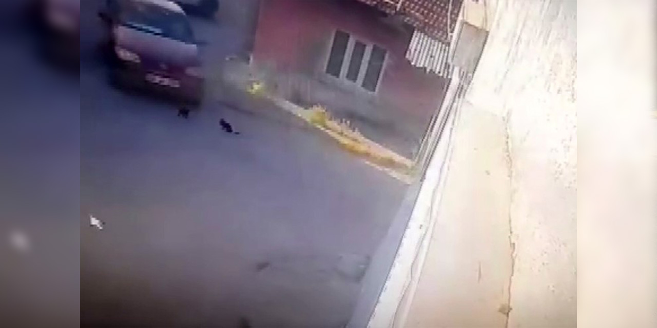 Eskişehir'de yürek burkan kaza