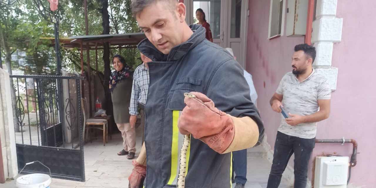 Eve giren yılan panik yarattı! İtfaiye ekipleri böyle çıkardı