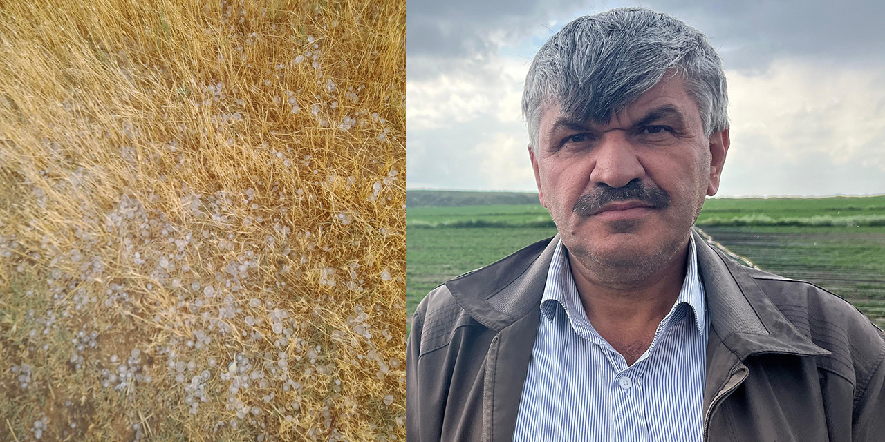 Eskişehir'de yağan dolu nedeniyle tarım arazileri zarar gördü