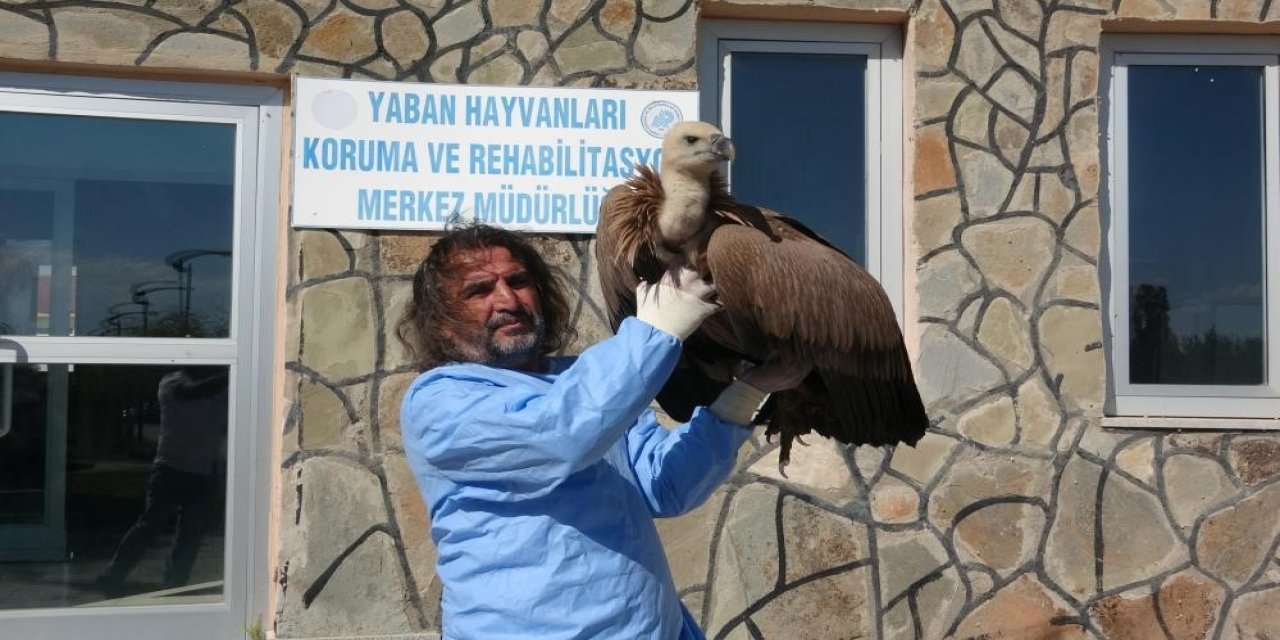 O hastalığın önlenmesi için gerekli tedbirlerin alınması şart!