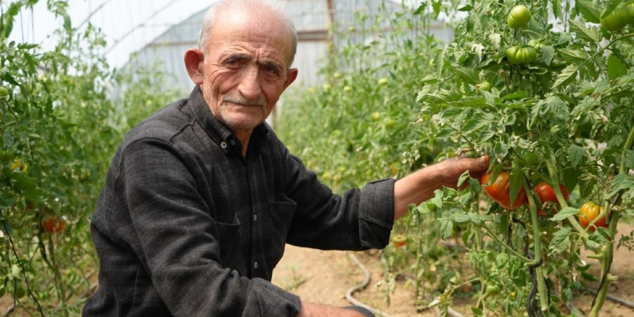 74 yaşındaki çiftçi ömrünü organik tarıma adadı