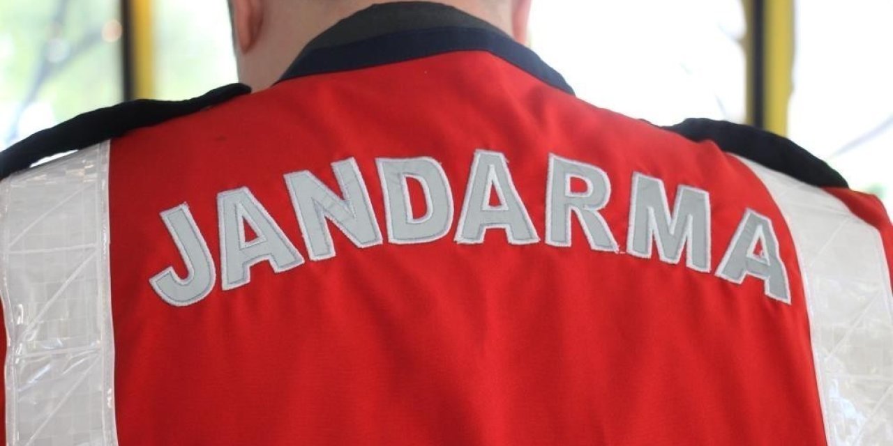 Türkiye'ye yasadışı olarak girmeye çalışan bir kişi yakalandı