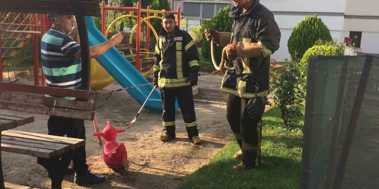 Afyonkarahisar'da yılan paniği