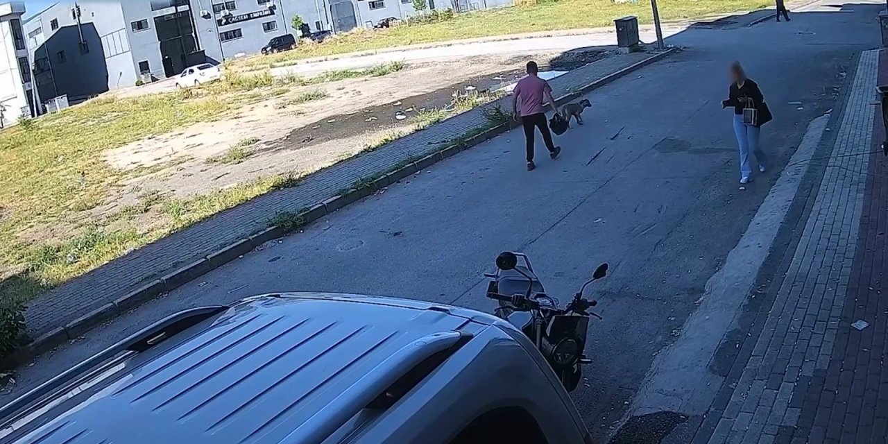Sokak köpeklerinin sıkıştırdığı kadının imdadına yetişti