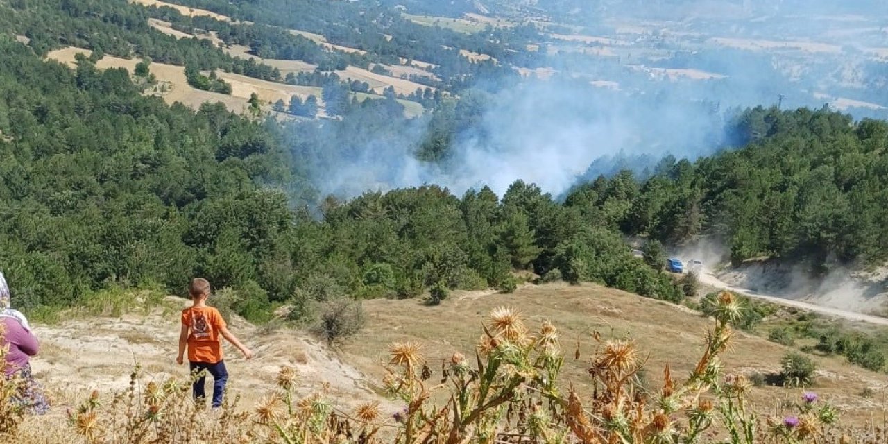 Bilecik'te orman yangınlarına müdahaleler devam ediyor