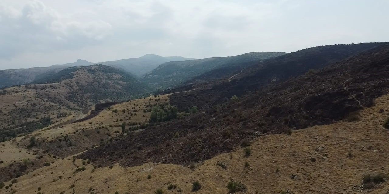 Afyon'da çıkan yangında 75 hektar alan küle döndü