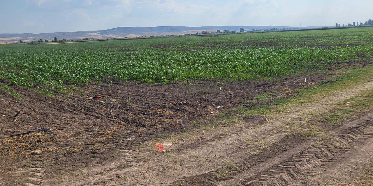 Tepebaşı’nda bir garip uygulama: Bu tarlalar kime ektiriliyor?