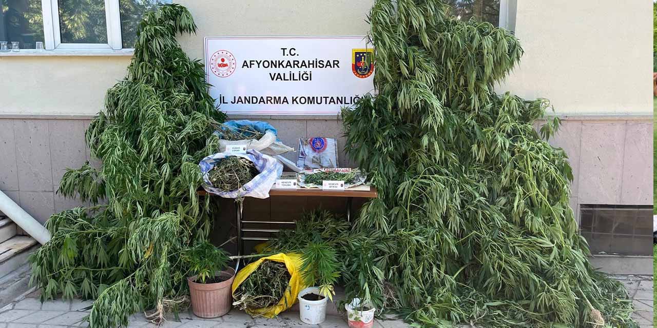 Afyonkarahisar’da evlerine kenevir eken şahıslar yakalandı